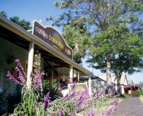 Passionfish Candles - Accommodation Sunshine Coast 0