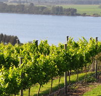 Two Figs Winery - Accommodation Sunshine Coast