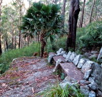 Wodi Wodi Walking Track - Accommodation Sunshine Coast