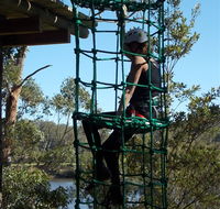Trees Adventure Shoalhaven - Accommodation Sunshine Coast