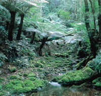 Deua National Park - Accommodation Sunshine Coast
