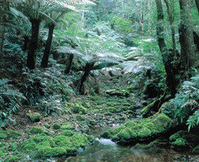 Deua National Park - Accommodation Sunshine Coast 0