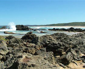 Coastal Walks - Bermagui - Accommodation Sunshine Coast 0