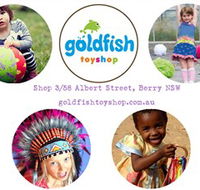 Goldfish Toy Shop - Accommodation Sunshine Coast
