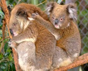  Accommodation Sunshine Coast