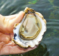 The Oyster Pot - Accommodation Sunshine Coast