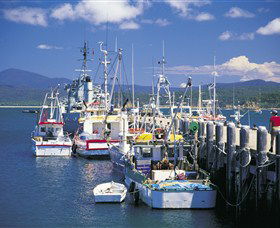Eden NSW Accommodation Sunshine Coast
