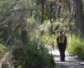 Barren Grounds Nature Reserve - Accommodation Sunshine Coast 0