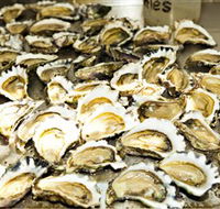 Wheelers Oysters - Accommodation Sunshine Coast