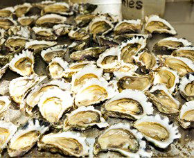Wheelers Oysters - Accommodation Sunshine Coast 0