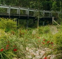 Eurobodalla Botanic Gardens - Accommodation Sunshine Coast