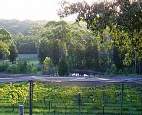 Lyrebird Ridge Organic Winery - Accommodation Sunshine Coast 0