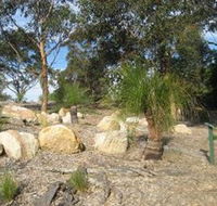 Curtis Park Arboretum - Accommodation Sunshine Coast