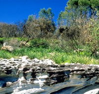 Abrahams Bosom Reserve - Accommodation Sunshine Coast