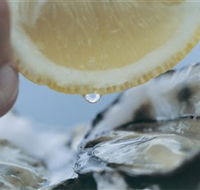 Pearly Oyster Bar and Farm - Accommodation Sunshine Coast
