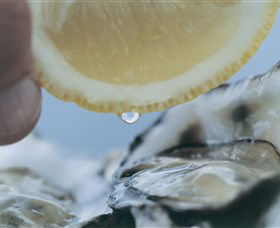 Pearly Oyster Bar And Farm - Accommodation Sunshine Coast 0
