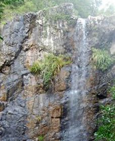 Wedding Bells Forest Drive - Accommodation Sunshine Coast 0