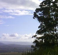 Sherwood Nature Reserve - Accommodation Sunshine Coast