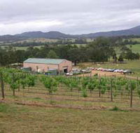 Villa d Esta Vineyard - Accommodation Sunshine Coast