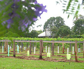 Douglas Vale Historic Homestead & Vineyard - Accommodation Sunshine Coast 0