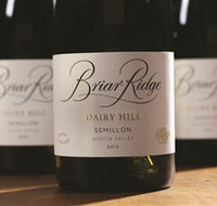 Briar Ridge Vineyard - Accommodation Sunshine Coast