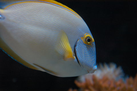 Solitary Islands Aquarium - Accommodation Sunshine Coast 3