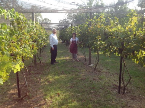 Holland Wines - Accommodation Sunshine Coast 8