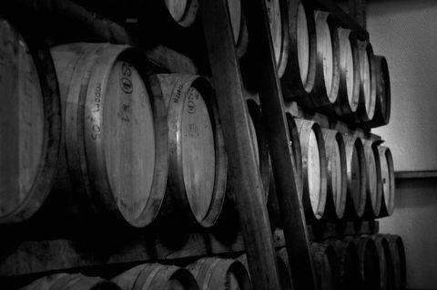 Trevelen Farm Wines - Accommodation Sunshine Coast 6