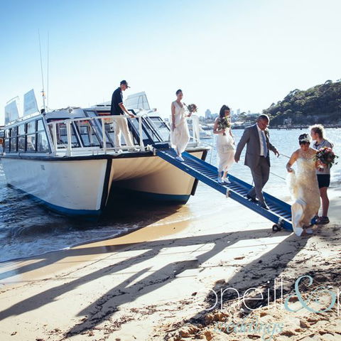 H2O Maxi Taxis - Accommodation Sunshine Coast 3