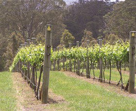 Diamond Creek Estate Cellar Door - Accommodation Sunshine Coast 2