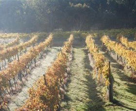 Twisted Gum Wines - Accommodation Sunshine Coast 1