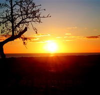 Rocky Ridge Vineyard and Cellar Door - Accommodation Sunshine Coast