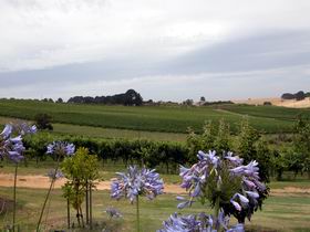 Mount Jagged Wines - Accommodation Sunshine Coast 1
