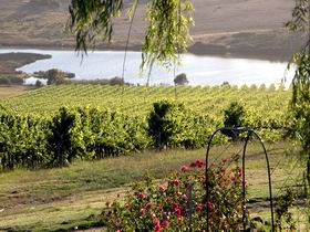 Mount Jagged Wines - Accommodation Sunshine Coast 2