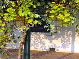 Wolseley SA Accommodation Sunshine Coast
