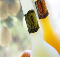 Ambra Limoncello - Accommodation Sunshine Coast
