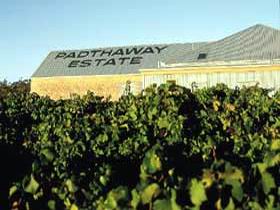 Padthaway Estate Winery - Accommodation Sunshine Coast 0