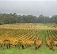 Boat O'Craigo Wines - Accommodation Sunshine Coast