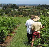 Sir Paz Estate - Accommodation Sunshine Coast