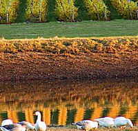 Pipers Brook Vineyard - Accommodation Sunshine Coast