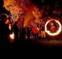 Coal Valley Vineyard - Accommodation Sunshine Coast