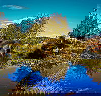 Loira Vines - Accommodation Sunshine Coast