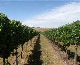 Cannibal Creek Vineyard - Accommodation Sunshine Coast 1