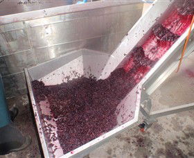 Cannibal Creek Vineyard - Accommodation Sunshine Coast 6
