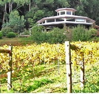 Peveril Vineyard/Beechy Berries - Accommodation Sunshine Coast