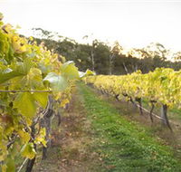 Harcourt Valley Vineyards - Accommodation Sunshine Coast