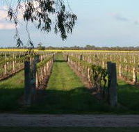 Water Wheel Vineyards - Accommodation Sunshine Coast