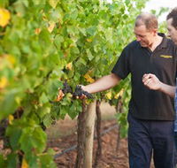 Fratin Brothers Vineyard - Accommodation Sunshine Coast