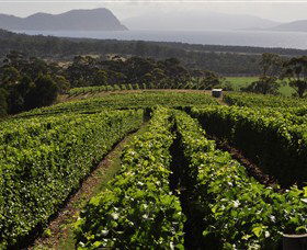 Bream Creek Vineyard - Accommodation Sunshine Coast 0