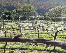 Red Hills TAS Accommodation Sunshine Coast